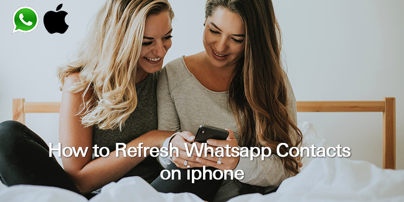 How to Refresh WhatsApp Contacts on iPhone