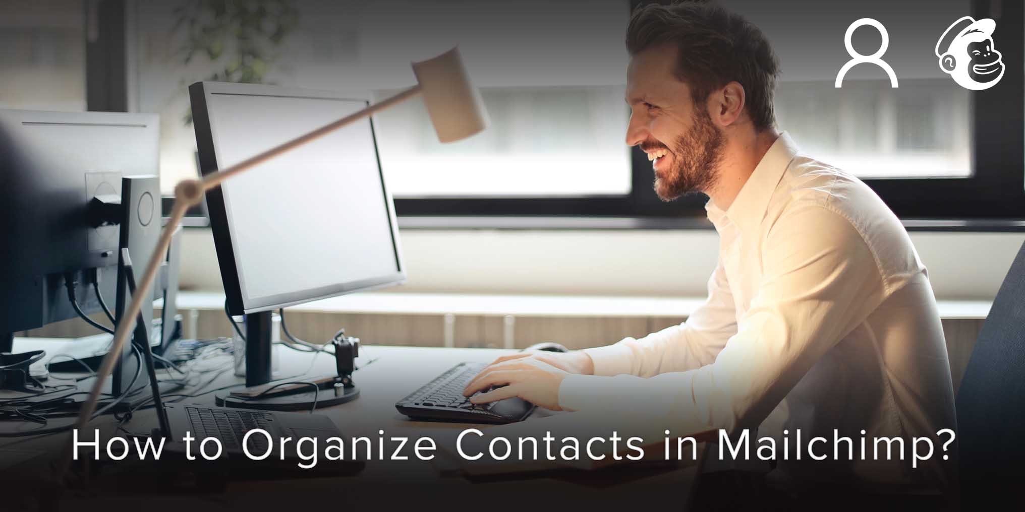 How to Organize Contacts in Mailchimp?