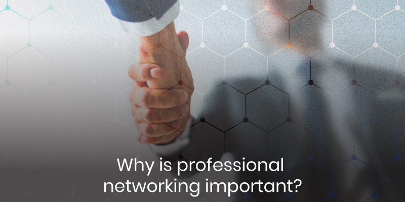 Why is Professional Networking Important?