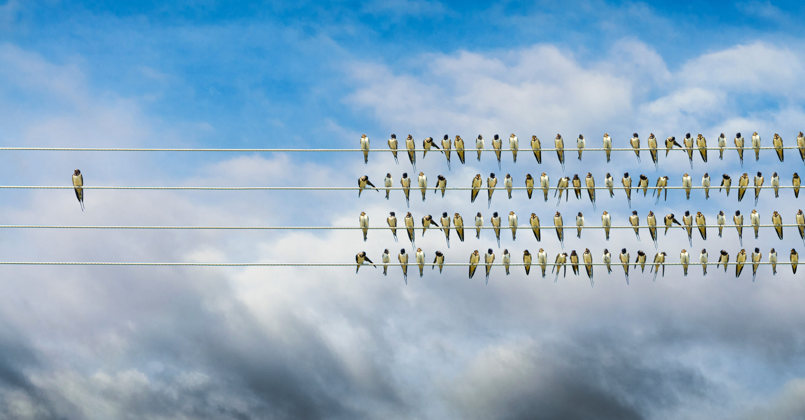 Don’t be a Wallflower, be an Ice Breaker