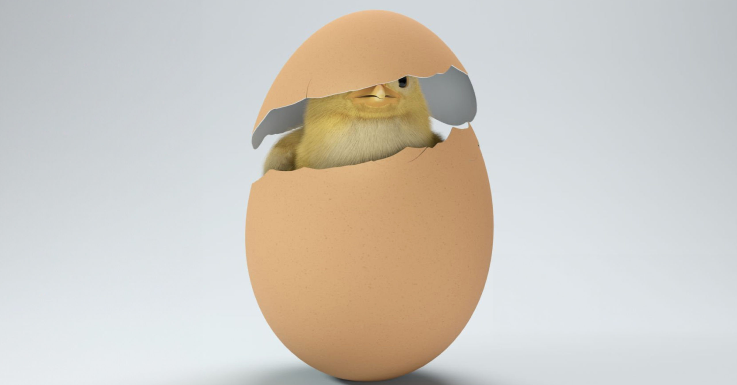 Start Digital to Come Out of Your Shell