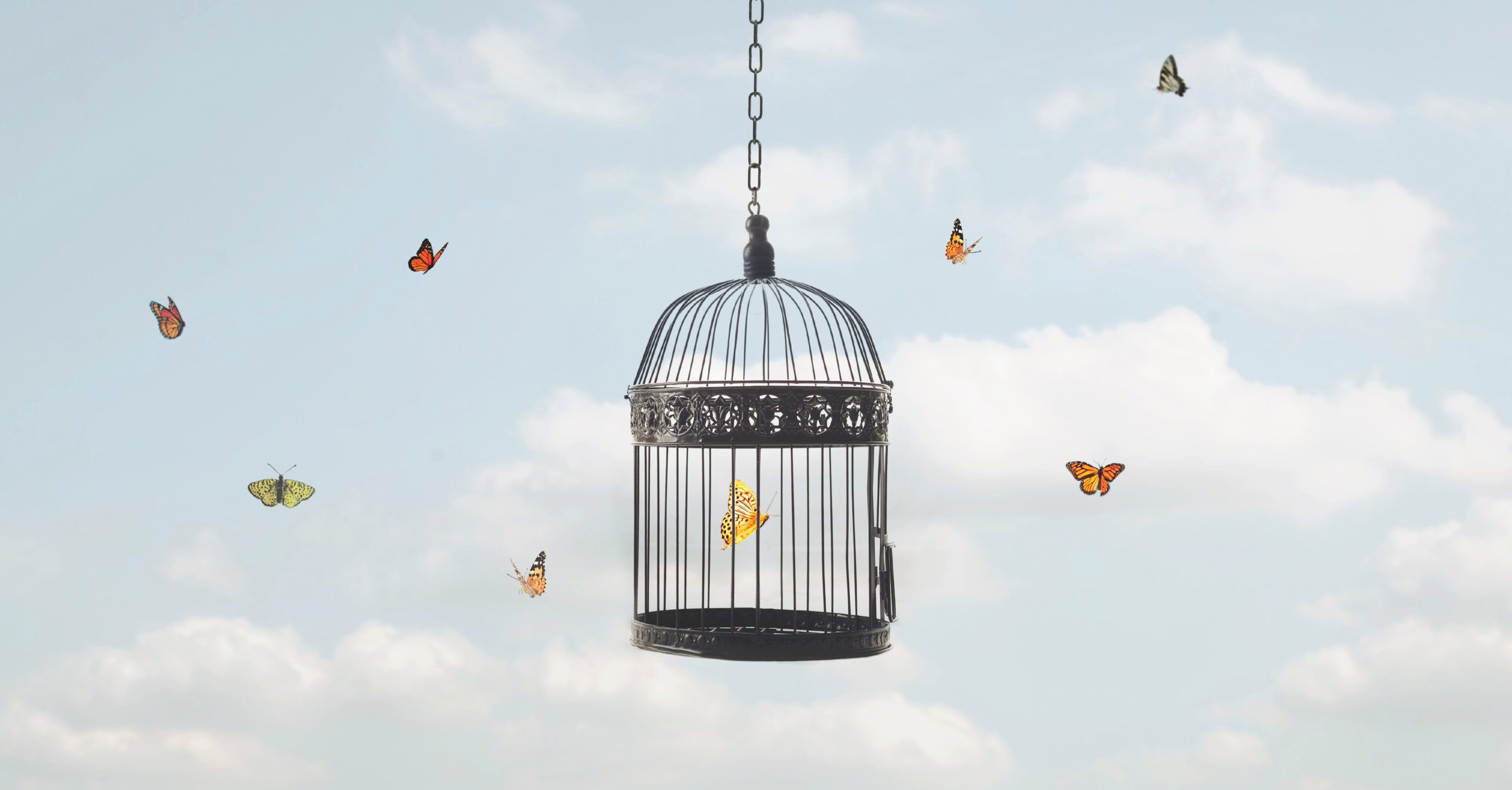 The Missed Opportunity Trap