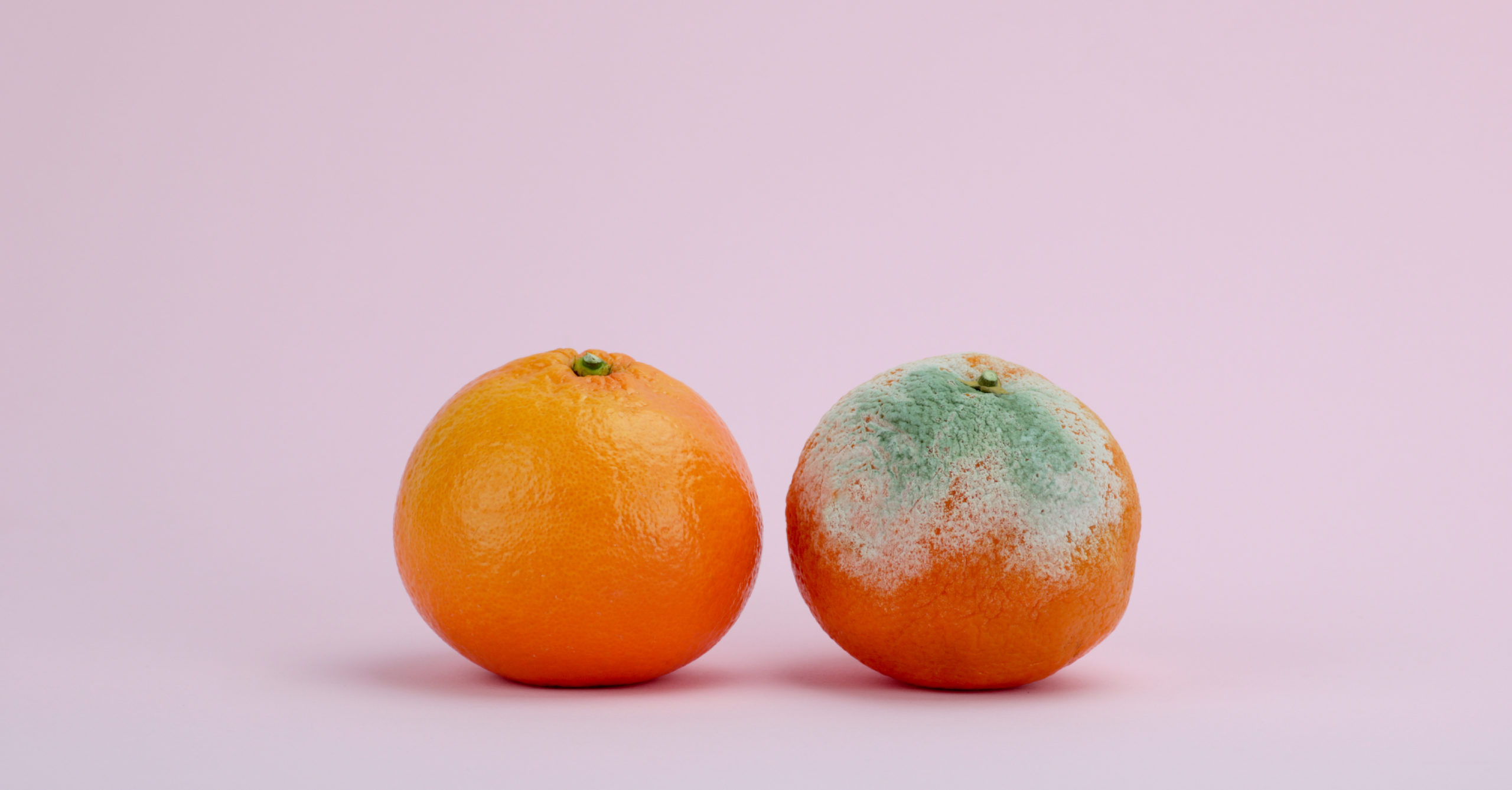 The Big Bad Monster or Your Savior?